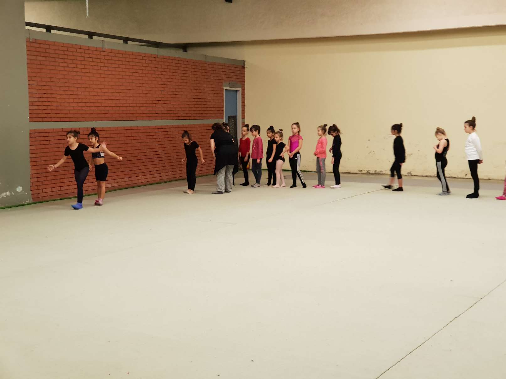 IRIS_FEBROUARIOS_2019 (3)