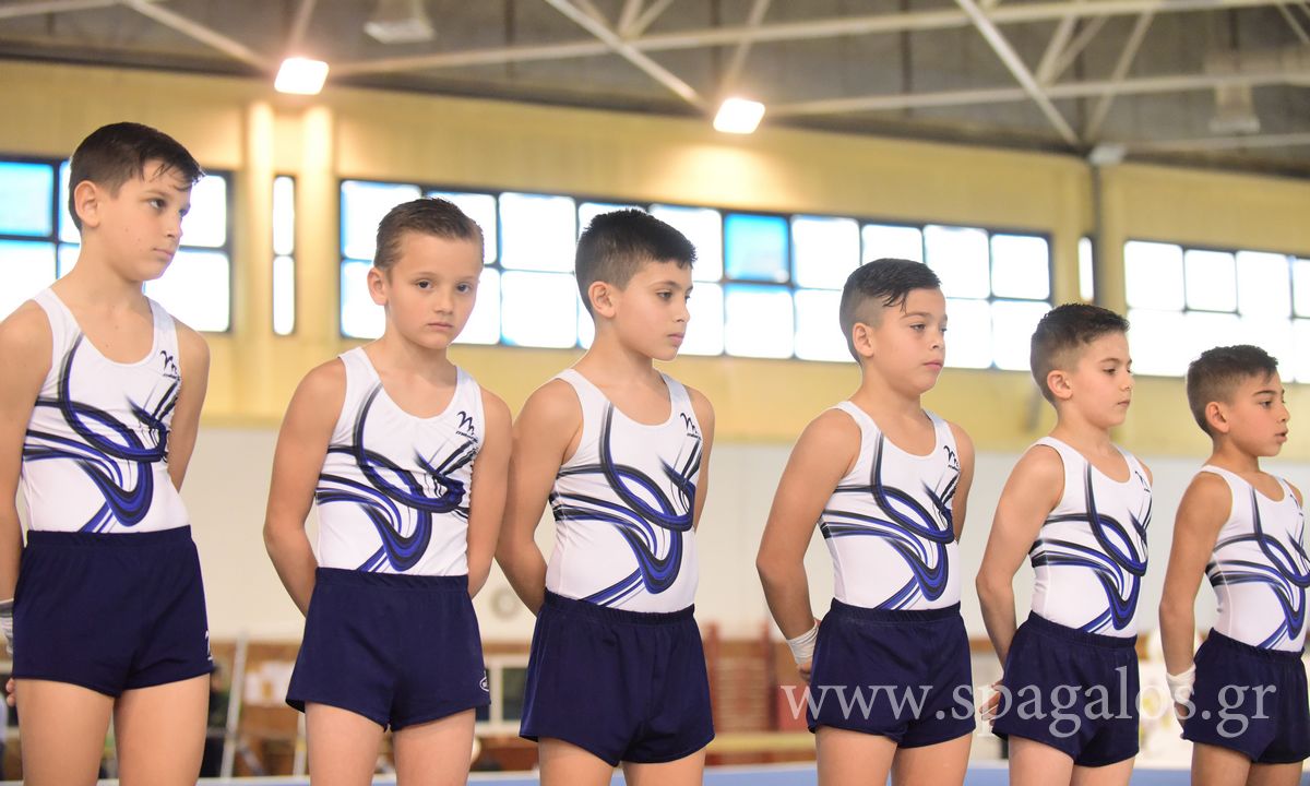 enorgani-diasilogiko-d-katigoria-2019 (6)