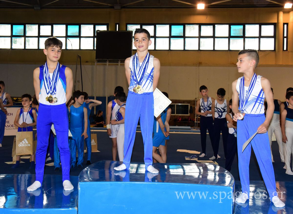 enorgani-diasilogiko-d-katigoria-2019 (9)