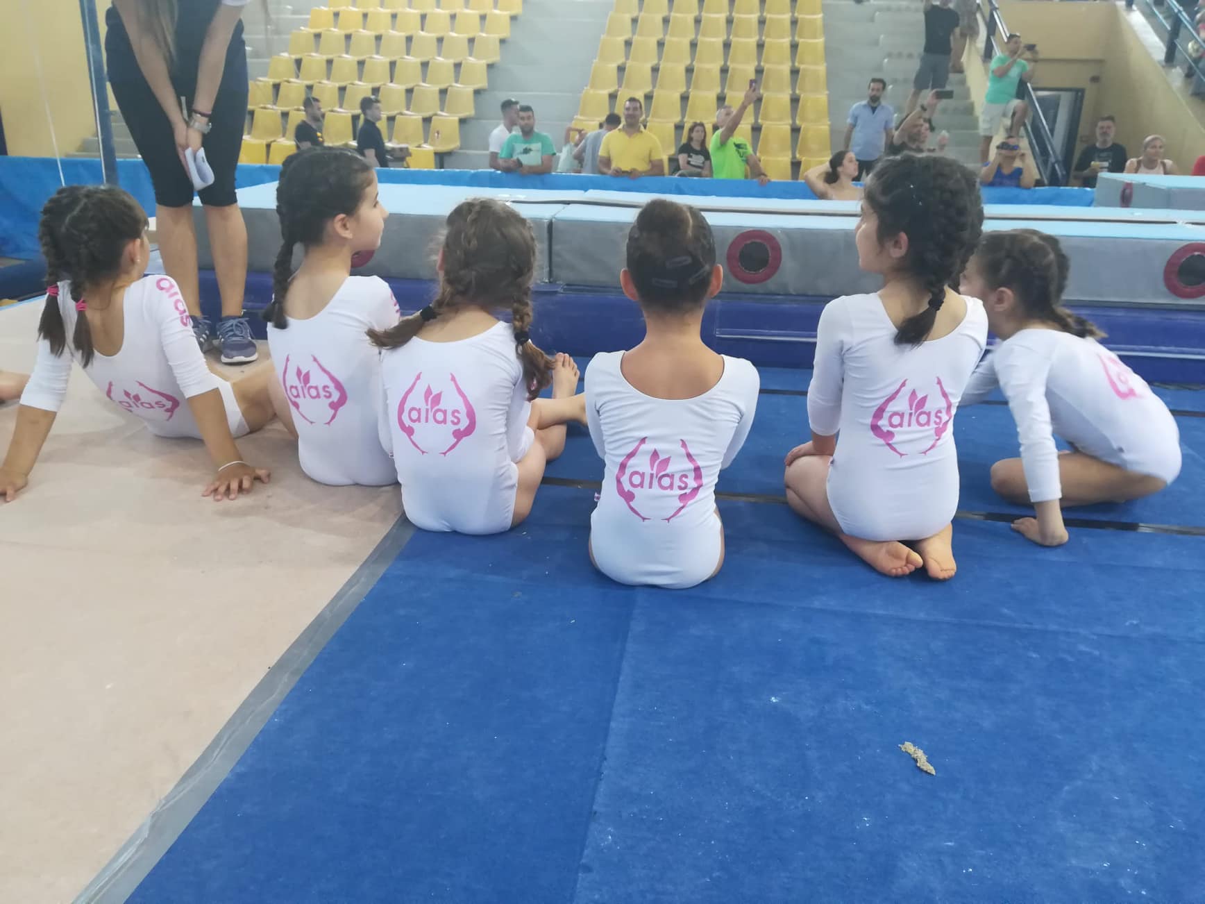 AESGVE-MAG-WAG-E KATIGORIA 2019 (5)