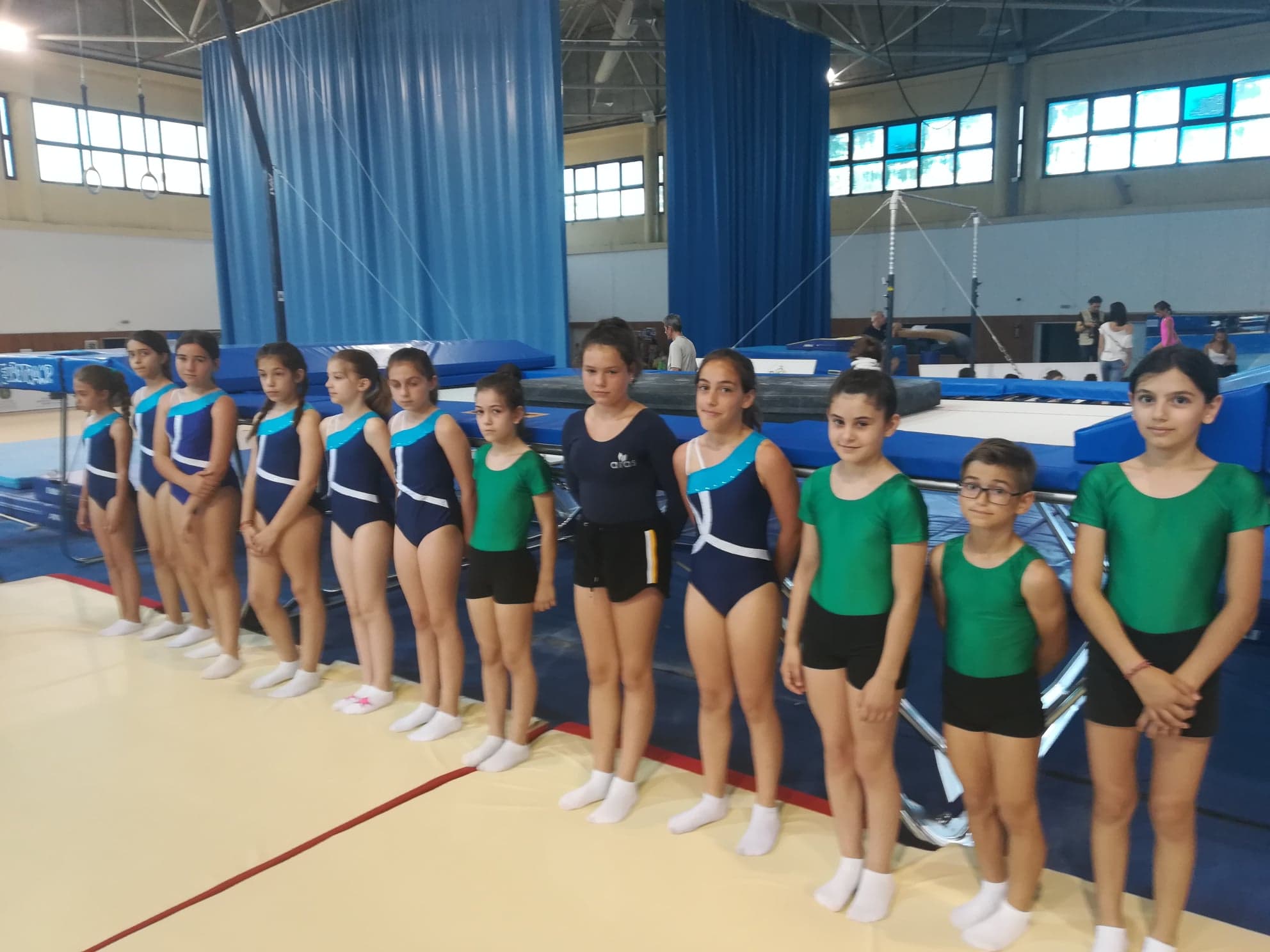 AESGVE-TRA-EPIPEDA 2019 (2)