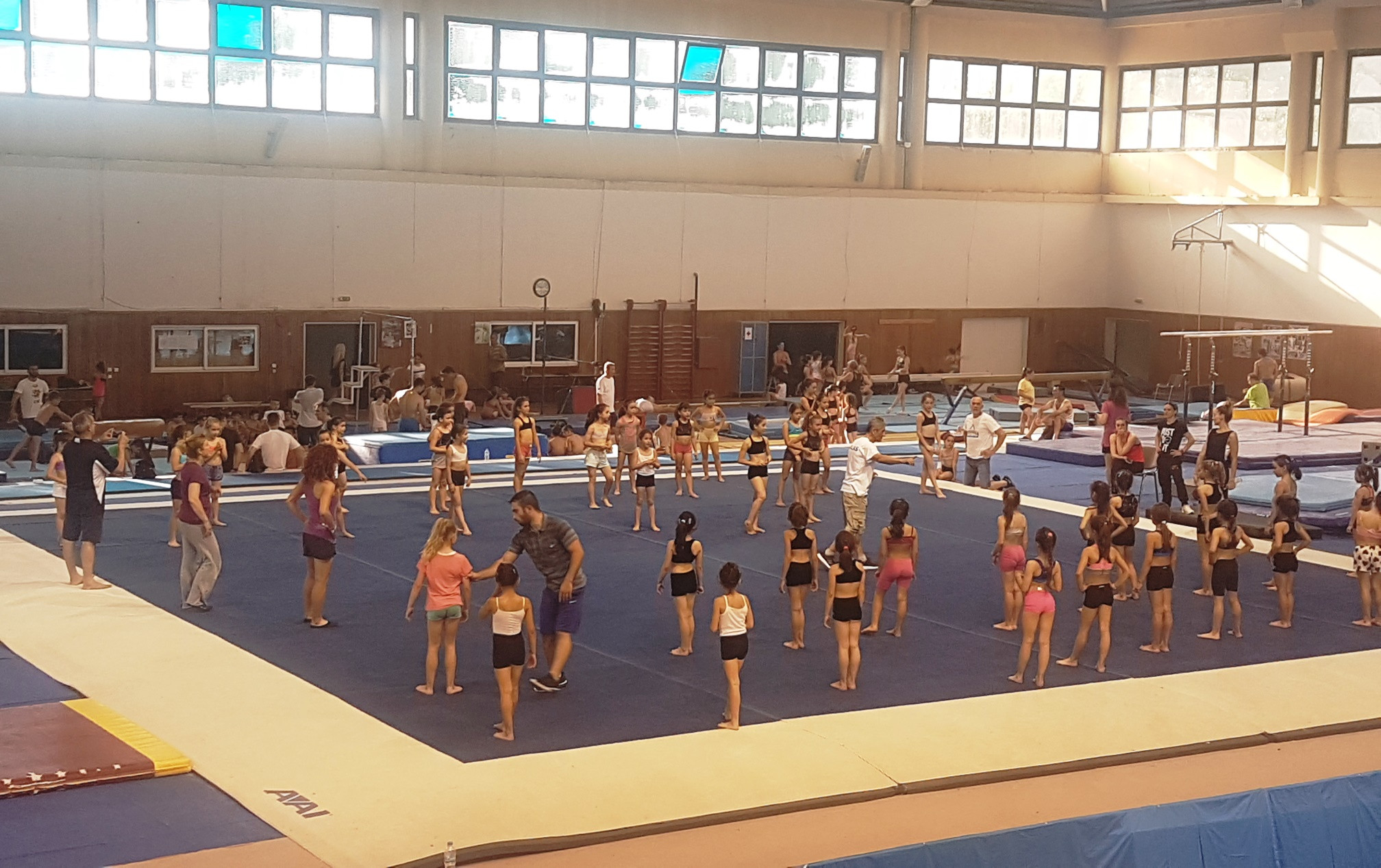 Για δεύτερη χρονιά προπονητικό καμπ ενόργανης από την Α.Ε.Σ.Γ.Β.Ε., με την έγκριση της Ε.Γ.Ο.