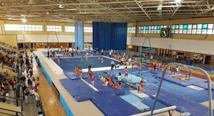 Αναβάλλονται οι διασυλλογικοί αγώνες ακροβατικής & ρυθμικής Ε’ κατηγορίας